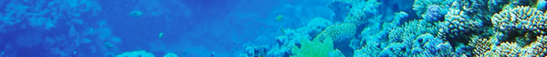 Fethiye Ant Apart Otel yakın çevre etkinlikler scuba diving dalış deniz altı enfes manzaralar