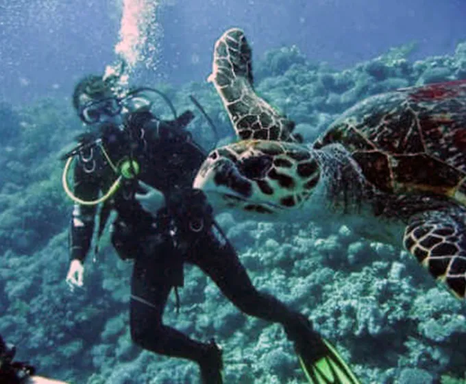 Fethiye scuba diving events